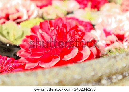 many flowers floating in water