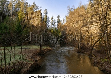 River in the forest, autumn landscape, daytime in nature