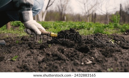 farmer digs ground with shovel, shovel, hands planting green sprout ground, agriculture, care environment, eco cultural farm, farmer plantation, eco-agriculture life concept, business ecology, improve Royalty-Free Stock Photo #2432883165