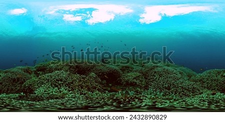 Beautiful undersea scene and hard coral with fishes. Undersea world. 360-Degree view.
