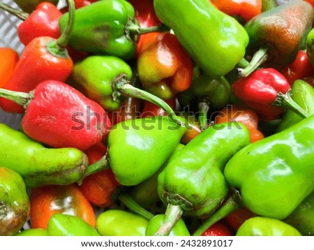 The large red and green chilies look fresh in the basket