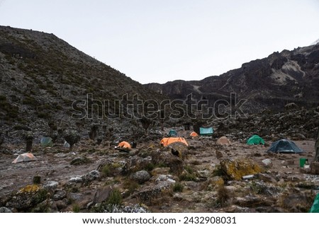 Barranco Camp: A High-Altitude Haven Beneath Kilimanjaro’s Barranco Wall