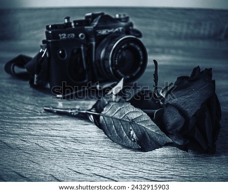 An antique camera ready to capture a picture of a rose.