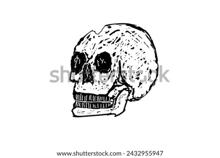 A skull that broken head 