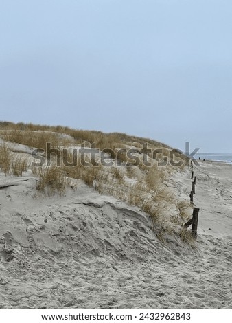Pictures of the Baltic Sea beach on the Darss in wintertime