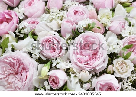 Delicate blooming festive roses and pink hydrangea summer flowers, blossoming rose flower soft pastel background, bridal bouquet floral card, selective focus, shallow DOF
