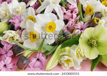 Blossoming white and light yellow daffodils, pink hyacinths and spring flowers festive background, bright springtime bouquet floral card, selective focus, shallow DOF
