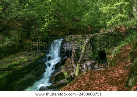 Healey Dell Nature Reserve - Rochdale Royalty-Free Stock Photo #2433008751