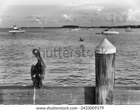 Black and White picture of Pelican sitting on fens overlooking bay where ships are sailing 