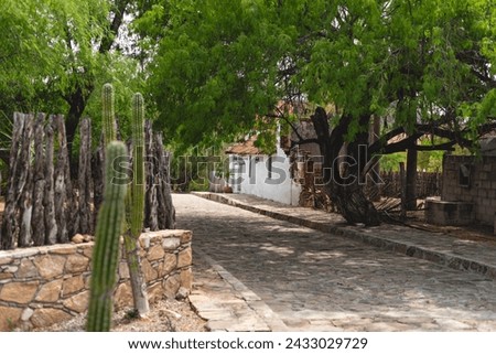 El Triunfo town La Paz , Baja California Sur, Mexico, one of the best preserved 19th and 20th century mining communities in North America and remains an important site for archaeological research Royalty-Free Stock Photo #2433029729