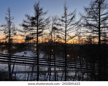 Winter landscape with snowy trees in the foreground and a bridge in the background
