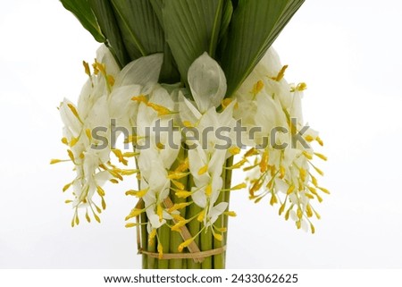 White yellow globba flower bouquet