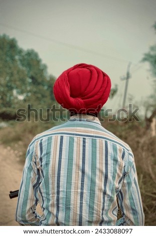 Back side view of Punjabi man wearing a red turban and lining shirt 👔 Royalty-Free Stock Photo #2433088097