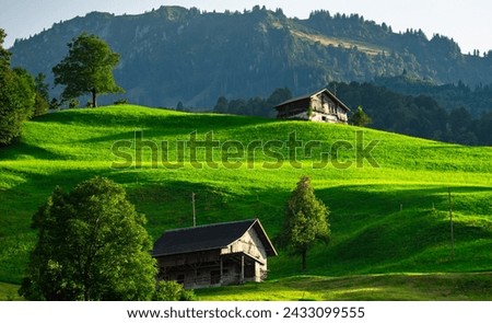 Village house. Old House in the European Alps. Old Cabin in the forest. Dilapidated house in the European Alps. Old village houses in a small town in an Alp valley. Rural landscape. Royalty-Free Stock Photo #2433099555
