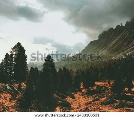 Silhouette of Mountain Hill With Pine Trees Under White Cloud Blue Sky
