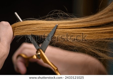 A delicate cut of hair with split ends Royalty-Free Stock Photo #2433121025