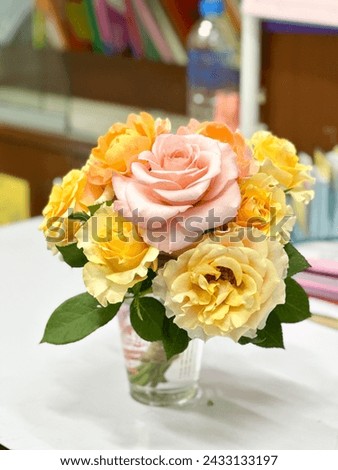 Beautiful pink and yellow roses