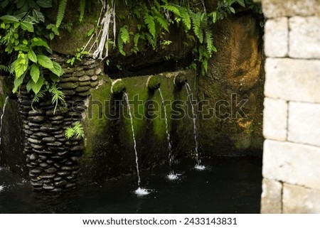 Sources of pure natural water on a tropical background