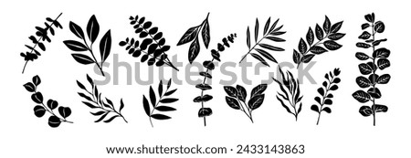 Set of Different Eucalyptus leaves clip art.