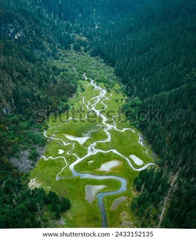 Beautiful high altitude forest wetland landscape   Royalty-Free Stock Photo #2433152135