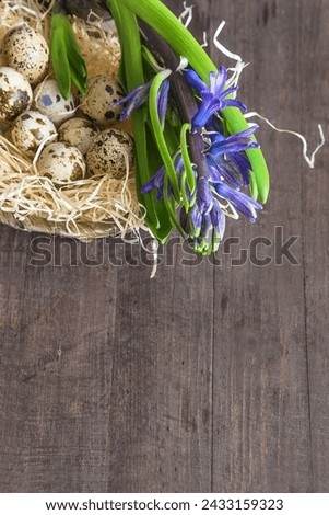 Happy easter holidays concept; birdnest with quail eggs and blue hyacinth flowers on a dark wooden background; vertical picture, copy space