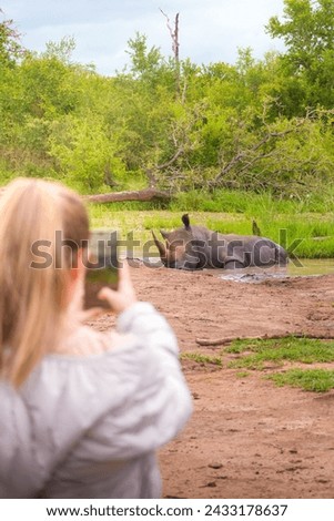 A woman stands, camera in hand, focusing on a majestic rhino laying down in its natural habitat.