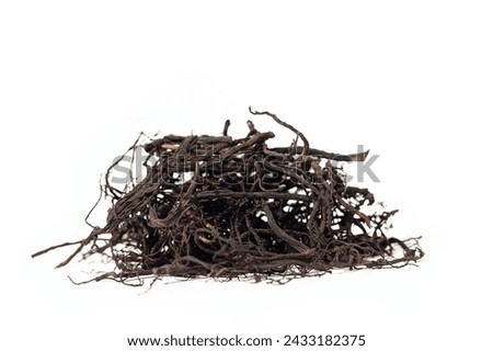 Black ginseng is made by steaming fresh ginseng at a high temperature multiple times, leading to a dark color and altered chemical composition