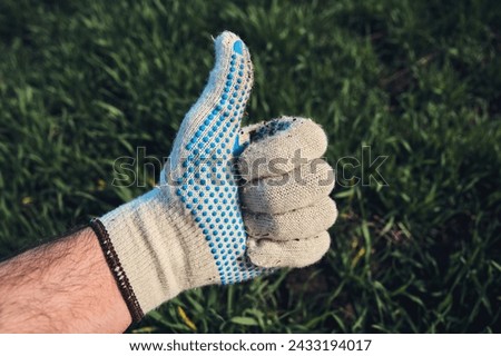 Thumbs up, like and endorsement hands sign from the farmer in wheat seedling field, selective focus