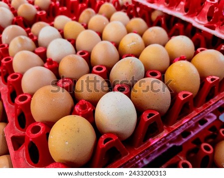 Fresh chicken eggs in red plastic rack Royalty-Free Stock Photo #2433200313