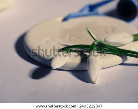 Zen aromatherapy oil stone with snowdrop flowers close up shot selective focus