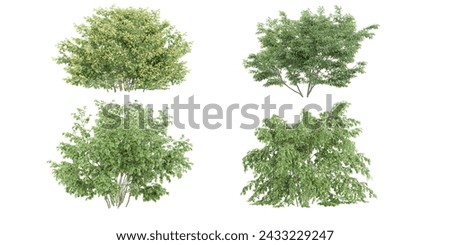 Dogwood, olive, trees and shrubs in summer isolated on white background. Forestscape. High quality clipping mask. Forest and green foliage