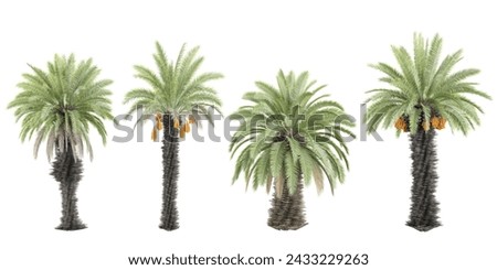 Date palm trees and shrubs in summer isolated on white background. Forestscape. High quality clipping mask. Forest and green foliage