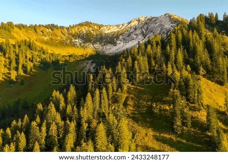 Evergreen peaks, snow-capped majesty amidst verdant wilderness, showcase nature's symphony in a visual crescendo where the rugged summit meets the lush embrace of the untamed forest. Royalty-Free Stock Photo #2433248177