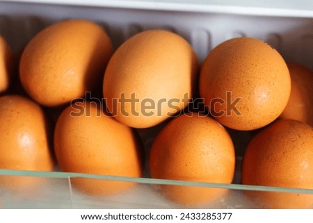 Picture of fresh chicken eggs in the egg compartment of the refrigerator.