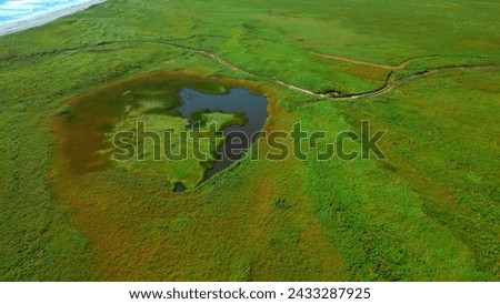 Small pond on green agricultural field in spring. Clip. Aerial of green meadow and tiny lake.