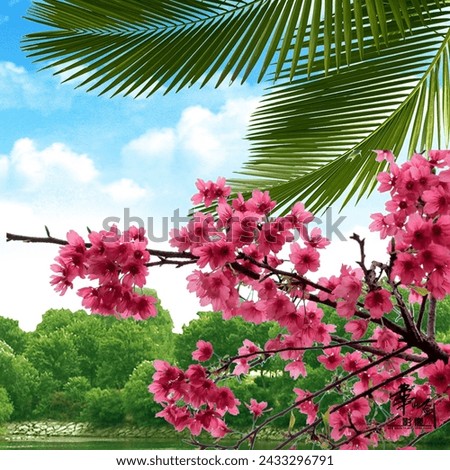Dark pink colour flower with coconut tree and bright day images beautiful white sky and blue sky 🌻😍