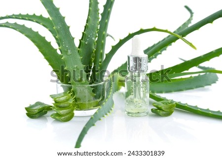 Fresh aloe vera leaves and slices, cosmetic serum with aloe vera extract in glass container with pipette on white background. Natural cosmetics concept.