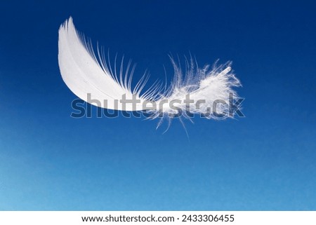 a single white feather, floating above a blue background