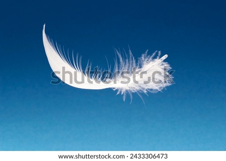 a single white feather, floating above a blue background