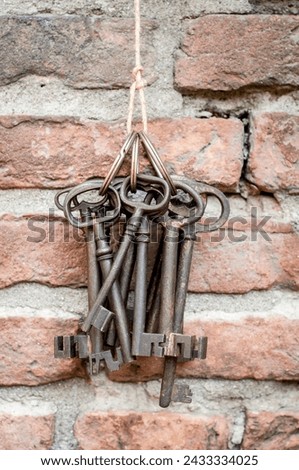 A bundle of antique, rusted keys dangle against a textured brick wall, evoking a sense of mystery and the past. Each key, unique and aged, tells a silent story. Royalty-Free Stock Photo #2433334025