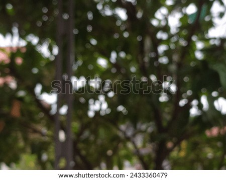 the background is out of focus sunlight from behind the leaves. defocused light behind green leaves