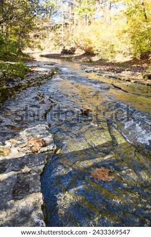 Autumn Creek Flow in Hathaway Preserve, Low Angle View Royalty-Free Stock Photo #2433369547