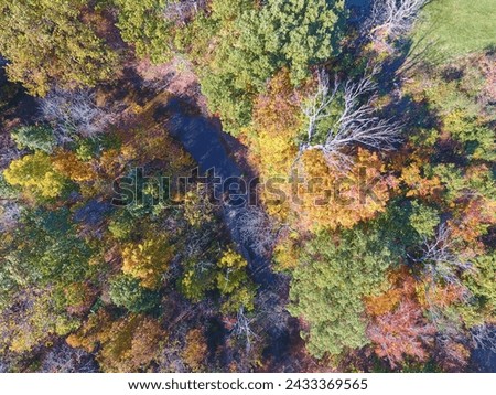 Aerial Top Down Autumn Forest and Stream in Hathaway Preserve, Indiana Royalty-Free Stock Photo #2433369565