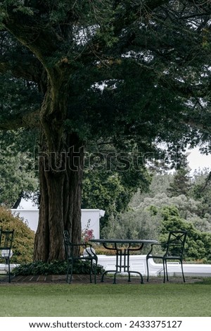Lunch place under the branches of a large tree in courtyard, surrounded by trees and bushes. Plastic outdoor furniture. Round table and three green chairs. Relaxation area in hotel garden
