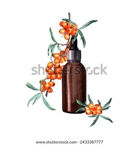 Composition with sea buckthorn branch and brown glass bottle with dropper, pipette for cosmetic oil, serum, medicine. Hand drawn watercolor illustration isolated on white background. For clip art