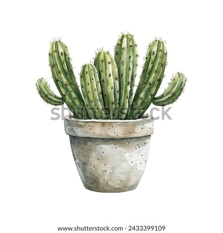 cactus in pot vector illustration in watercolour style