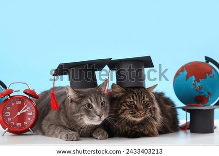 Cute cats with graduation hats, clock and globe on table against blue background. End of school year