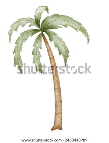 Palm Tree Watercolor illustration. Hand drawn clip art on isolated white background. Drawing of a Tropical summer plant with coconuts. Beach element sketch. For baby room decorations and stickers.