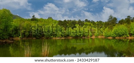 Turkey, Yalova, Çınarcık : Dipsiz Lake in Tesvikiye, surrounded by trees