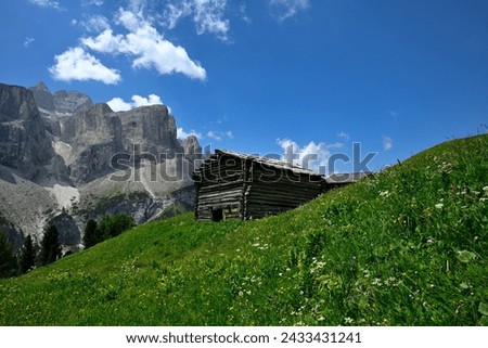 Flowering Meadows in spring in The Dolomites, A Great Panorama Image in The Dolomite, Green Grass with Flowers and a Old Hay Barn, An Idyllic Mountain Picture, The Wonderful Alps and a Wood Hut, 